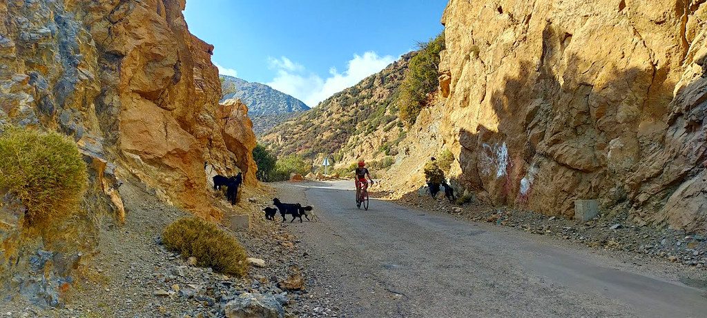 Atlas Mountains day trip from Marrakech